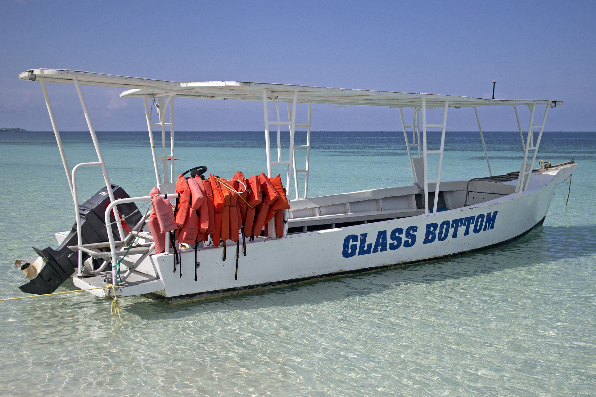 Turtle Island Tour With Glass Bottom Boat - what to do in bali with kids