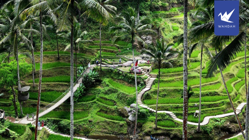 Rent WAHDAH Car Rental Ubud Bali with Unlimited Mileage